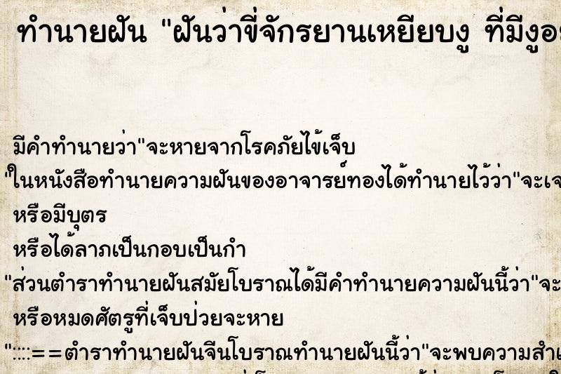 ทำนายฝัน ฝันว่าขี่จักรยานเหยียบงู ที่มีงูอยู่เต็มถนน